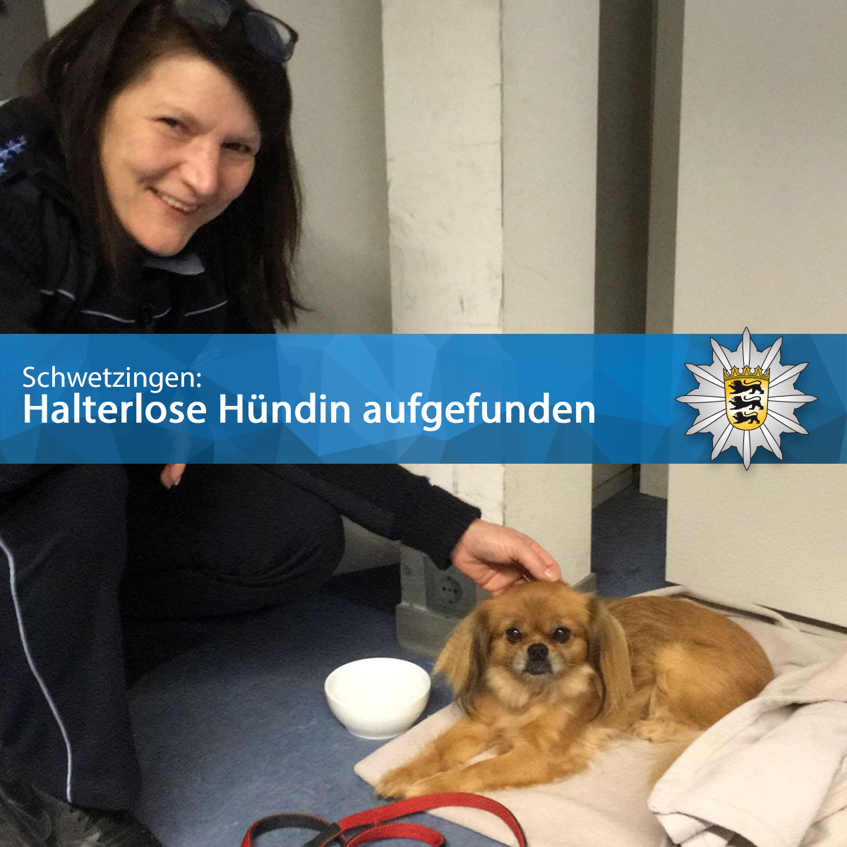 PolizeiMannheim's tweet photo. 🐕 #Schwetzingen: Hündin vermisst? 🐶 Wir suchen Besitzerin oder Besitzer!

BITTE TEILEN!

Ihr habt Eure vermisste Hündin erkannt? 
👉 Dann meldet Euch gerne direkt hier bei uns auf Twitter oder beim Polizeirevier Schwetzingen. https://t.co/tnHbDvqBac