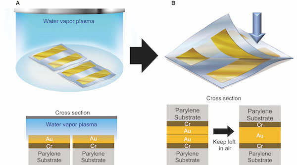 CodexInternati1's tweet photo. [Coating] - Fabrication of flexible electronics improved using gold and water-vapor plasma.
Researchers at the RIKEN Center for Emergent Matter Science &amp; the RIKEN Cluster for Pioneering Research in Japan have developed a ... 
https://t.co/z8wjRYHHwt
#Coating #CodexInternational https://t.co/dZqQ7exd1U