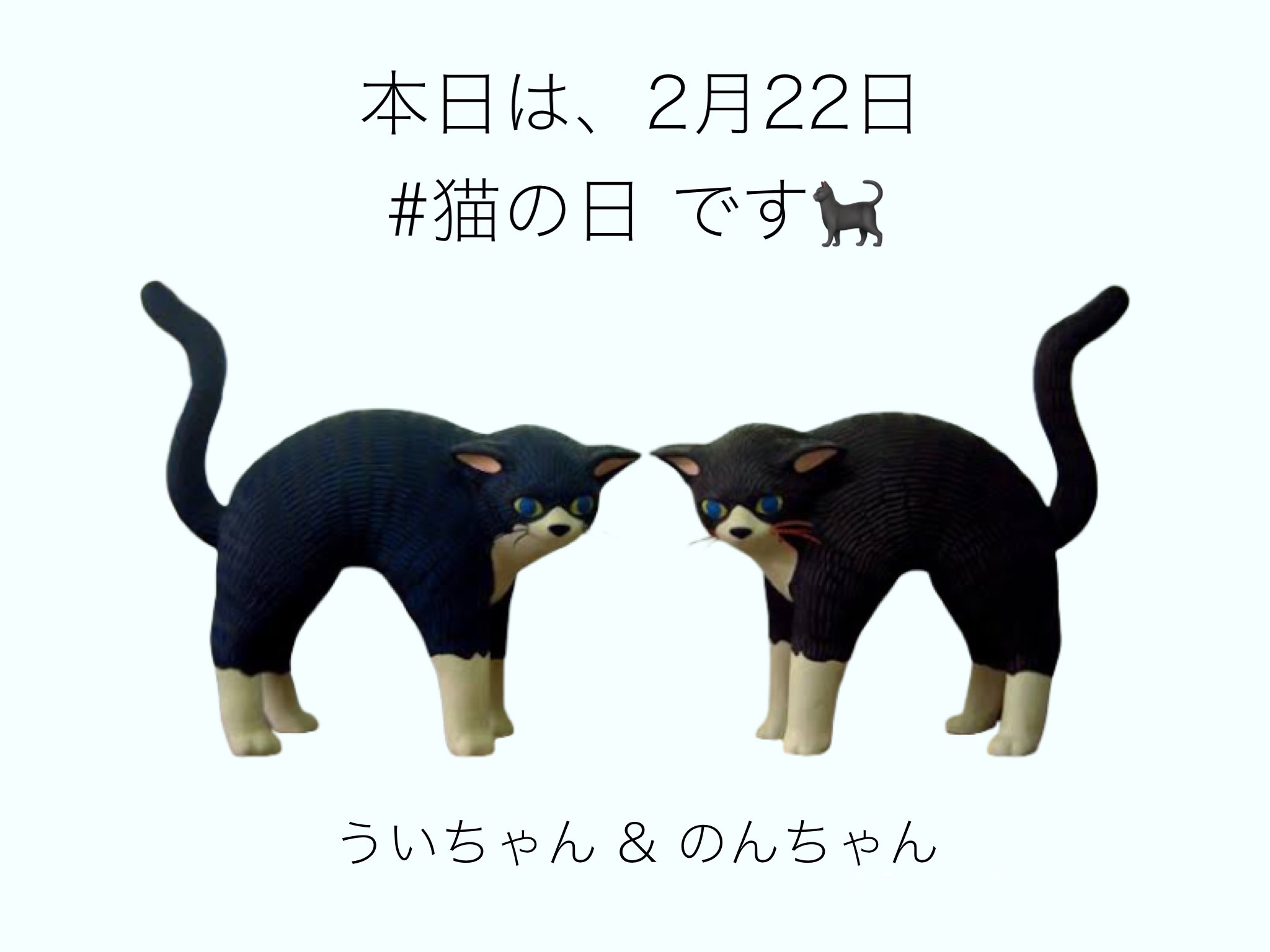 2900円 新品 シューラルー 猫 ういのん ハンドタオル SHOO・LA・RUE／シューラルー on X: 