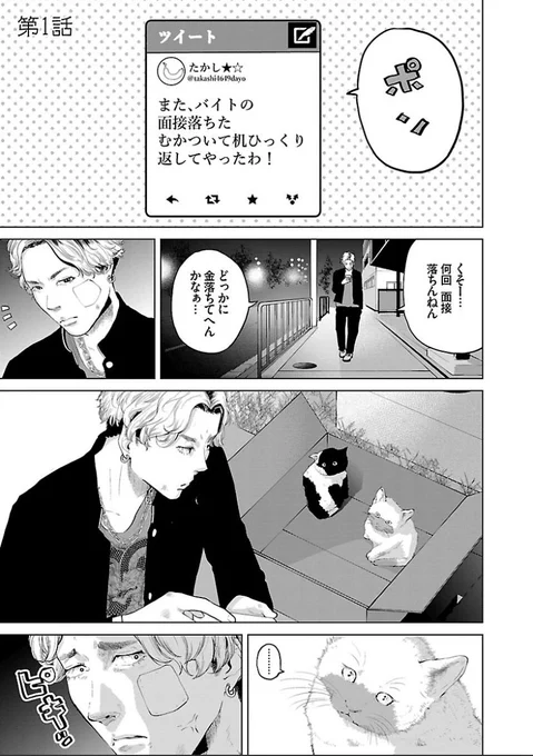 #猫の日 ってことで
ヤンキーがネコ助けちゃったら逆に助けられてく話とか
どうですか?🐈🐈🐈🐈🐈 