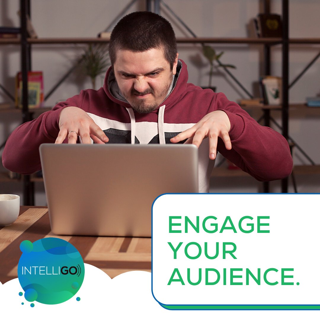 Intelligo tweet media