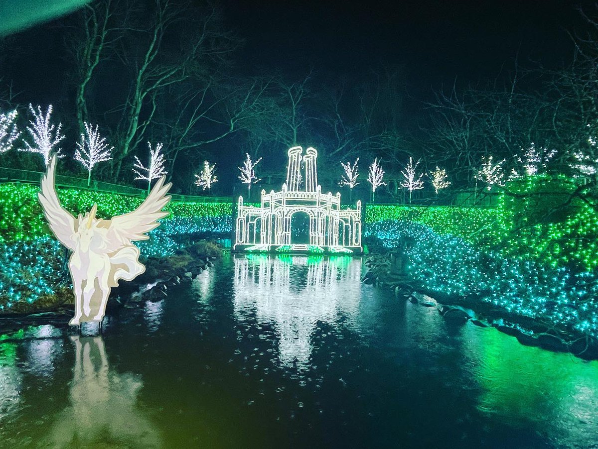 Mikachi1111's tweet photo. セーラームーンイルミネーション🌙.*·̩͙ https://t.co/qst7yYJeTJ