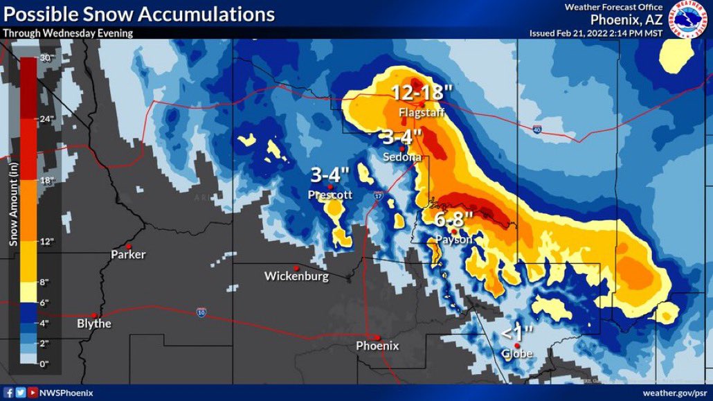 amyfreeze's tweet photo. Saw this snow dog on @NWSPhoenix and I named him radar… hi Flagstaff! We see your winter @foxweather #dogweather https://t.co/V3mqFxiErI