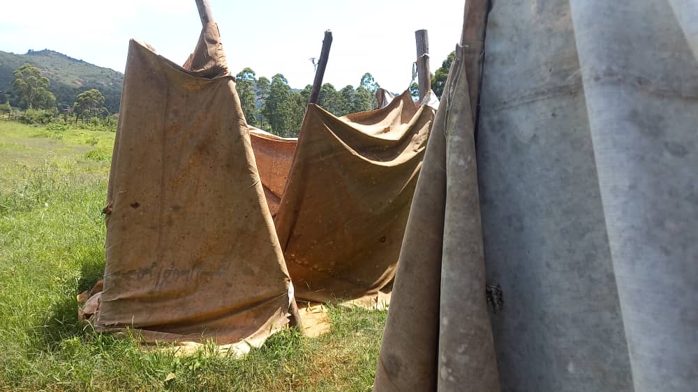 3 Years on: The effects of Cyclone Idai are still visible in Chimanimani. Citizens in the area are living in fear as 6 more cyclones are set to hit the area. Video story loading stay tuned.