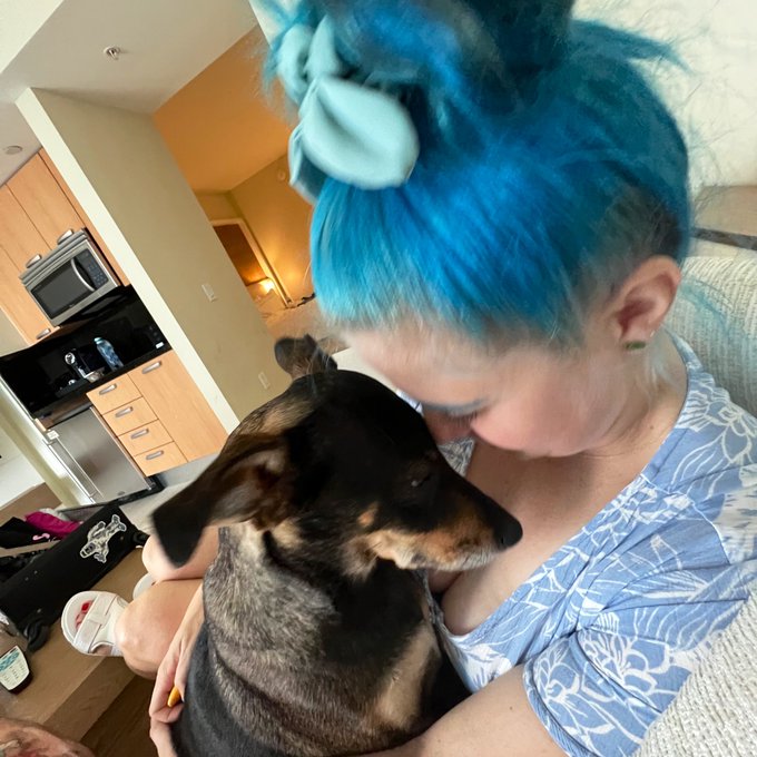 💙 Dinahsaur 💙 https://t.co/jHlGC066aU<a href="/tag/mvsales"class="tags"><span>#mvsales</span></a>