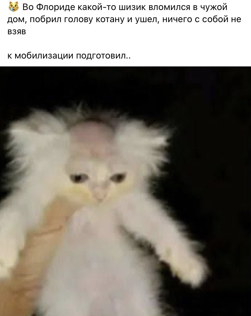 Gbrfaaad_'s tweet photo. Это бабка хаги ваги https://t.co/fE02sV9zPC