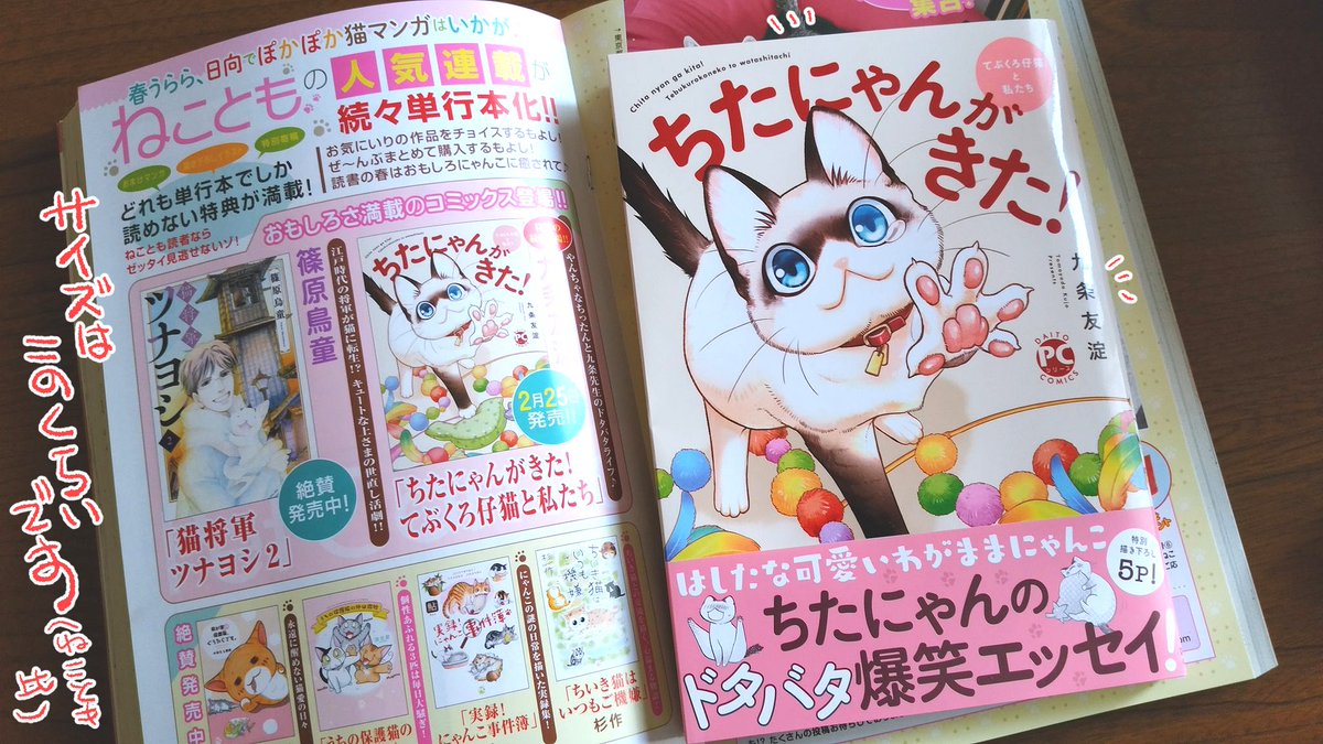 猫の日に丁度献本が来ましたヾ(*'∀`*)ノ
「ちたにゃんがきた!てぶくろ仔猫とわたしたち」(九条友淀名義)大都社刊
2月25日発売です。描き下ろし漫画5枚描きましたよ!
「ねことも」の方で連載再開&色紙プレゼントもあります。よろしくお願いいたします~✨
https://t.co/ObmIfAfwEe
#ねこの日