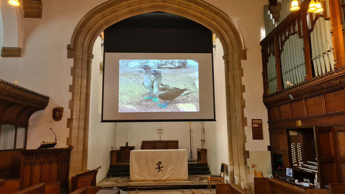 Yet Another Superb Install of one of our specially made screens with an extended top border for a church install by <a href="/CTS_Birmingham/">CTS</a> (Central Theatre Supplies). 
Amazing!