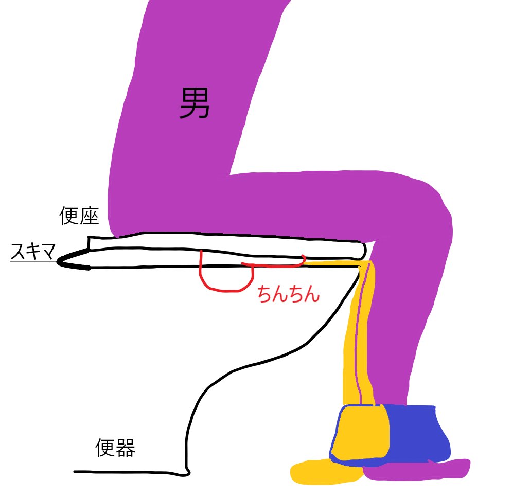 半年に一度起こるトイレの悲劇に共感の声 座りションはこの危険性がある Totoさんどうにかして Togetter