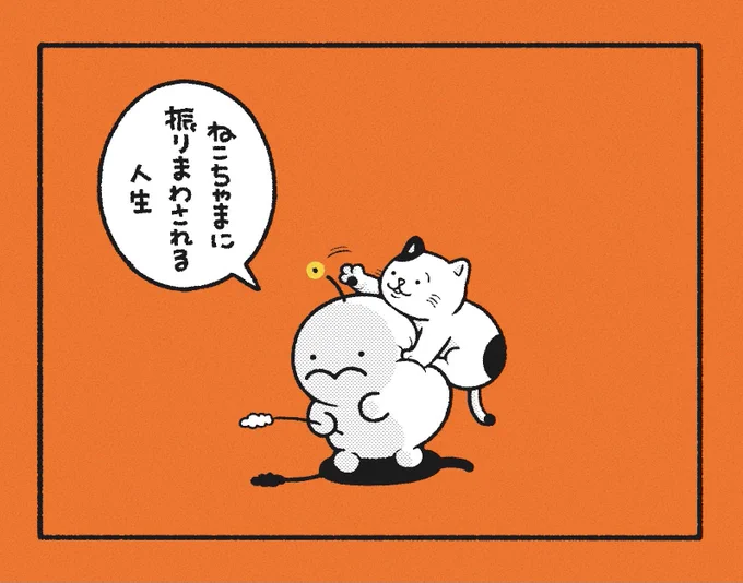 ねこじゃらしで
振りまわそうとしたら

#ねこの日 