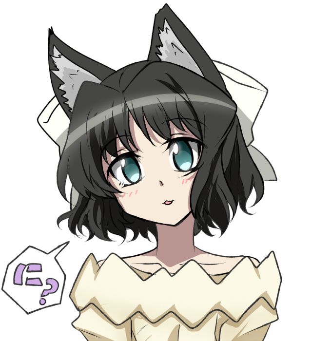 ねこまつり 