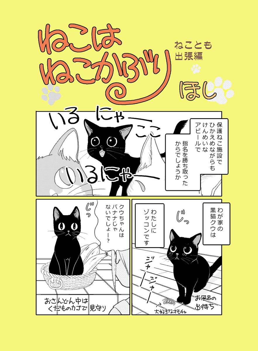 【ねこはねこかぶり】
出張番外編
クウは王子さま

2022年2月22日ねこの日記念
昨年「ねこ雑誌ねことも」に掲載された2Pです。
クウももうすぐ3歳、すっかりおとなになったけど甘えん坊でひとたらしなところは変わらず、です。
#ねこはねこかぶり #猫の日2022 