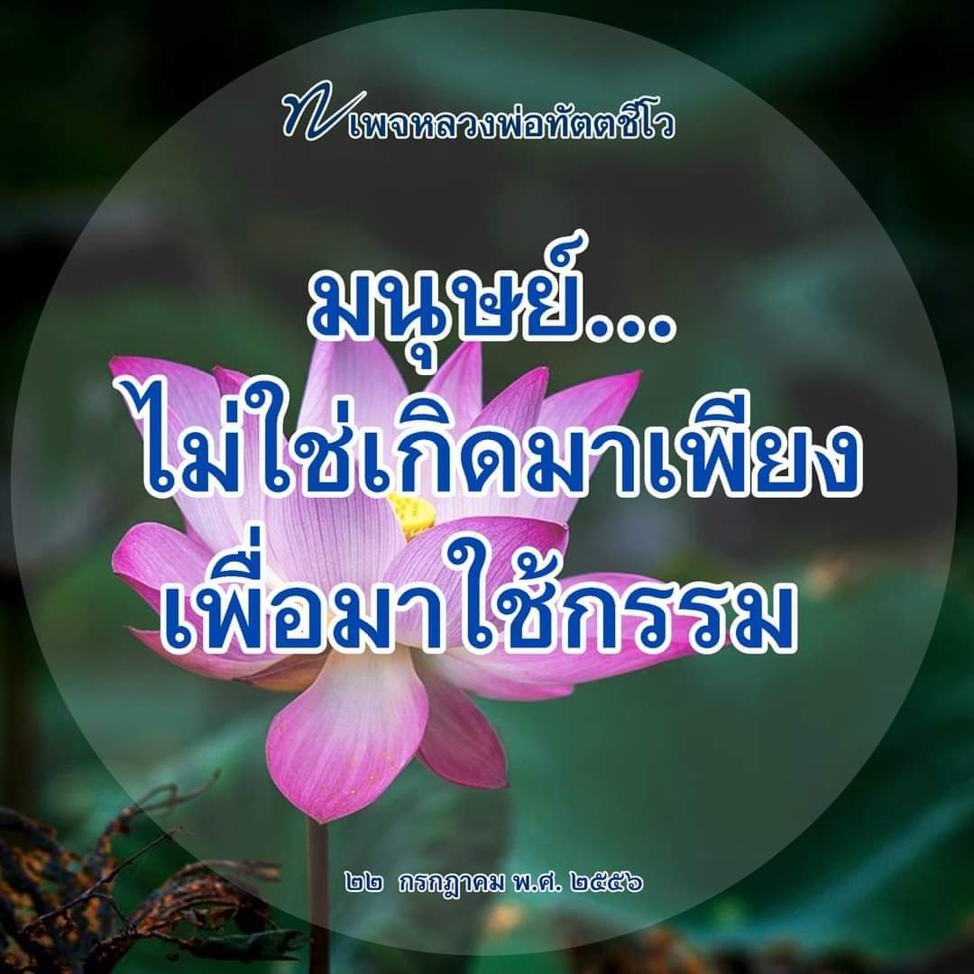 dattajeewo's tweet photo. ✍️เป้าหมาย
ของการเกิดมาเป็นมนุษย์
.
มนุษย์ไม่ใช่เก���ดมา
เพียงเพื่อมาใช้กรรม 

แต่ว่าเกิดมาเพื่อเร่งพัฒนาตัวเอง
ทั้งร่างกายและจิตใจ
ให้ดียิ่ง ๆ ขึ้นไป 
จนถึงวันหนึ่ง
เราจะอยู่เหนืออำนาจกิเลสให้ได้ 

#เราเกิดมาทำไม
#เป้าหมายของชีวิต
#พัฒนาตนเอง
#หลวงพ่อทัตตชีโว https://t.co/cglWfI3tzi