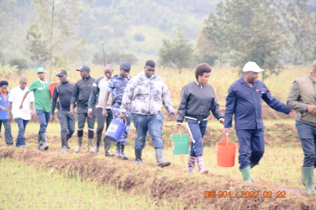 RTNBurundi's tweet photo. Le Président de la République @GeneralNeva en compagnie de son épouse @Burundi1stLady se joint aux riziculteurs du marais #Ndebe de la zone et commune @Giheta de @Gitega dans les travaux de fertilisation des exploitations rizicoles de 23 ha, exploitées par 23 coopératives https://t.co/3FAf3zwWfB