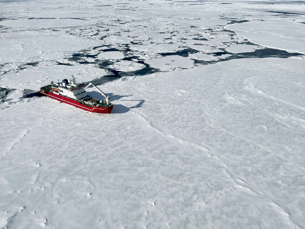 Stefanie Arndt tweet media