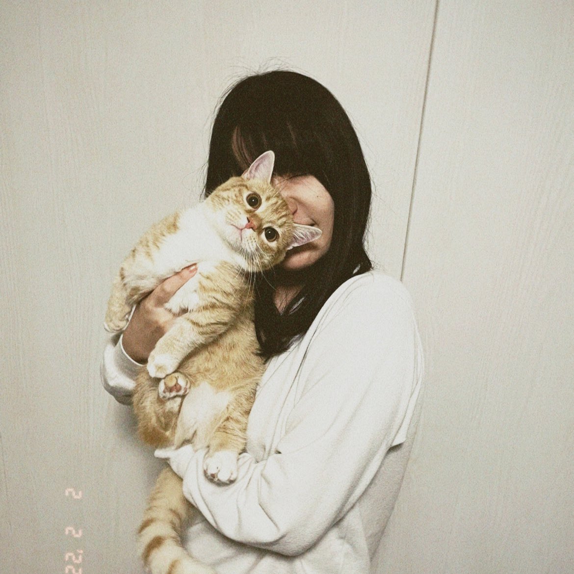 かなこ🕊もう泣かないもん tweet media