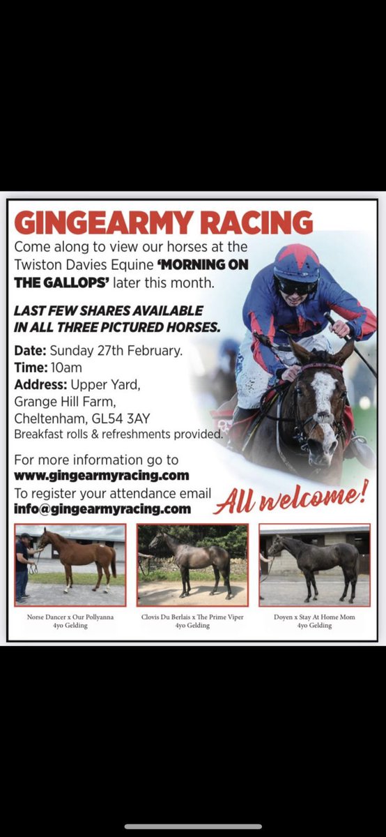 gingearmyracing's tweet photo. All of our horses will be on show this weekend at the @TwistonD_Equine ‘Morning On The Gallops’ 

Shares available in all horses, come down and find out what GINGEARMY RACING is all about!

📆: SUNDAY FEB 27TH
🕛: 10.00am

More info: info@gingearmyracing.com https://t.co/LVrXrlcDKR