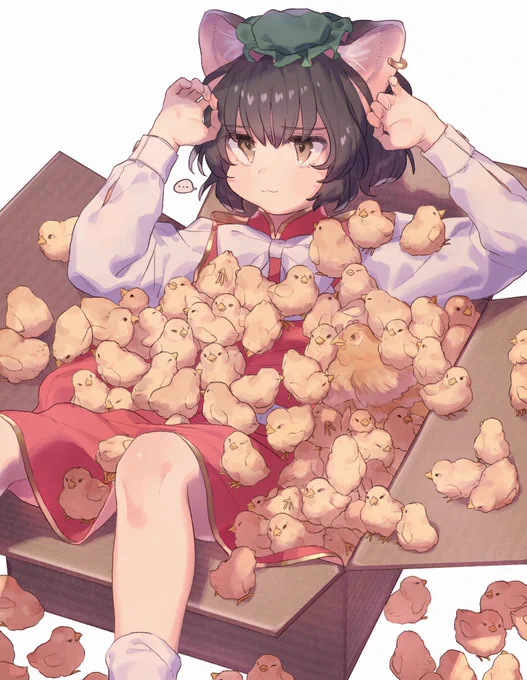 #猫の日 