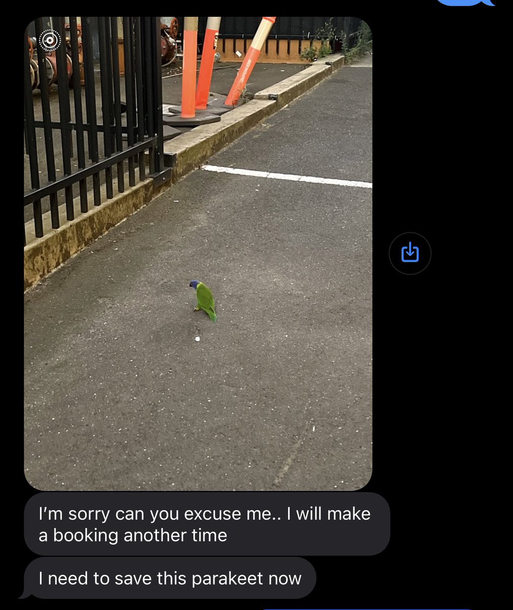 FayeShelle's tweet photo. Just when I thought I had seen all the excuses under the sun …. #wildlifewarrior #excuses #lol #timewasters #thedailygrind #endoftether #hisloss https://t.co/D7Tdcro1N0