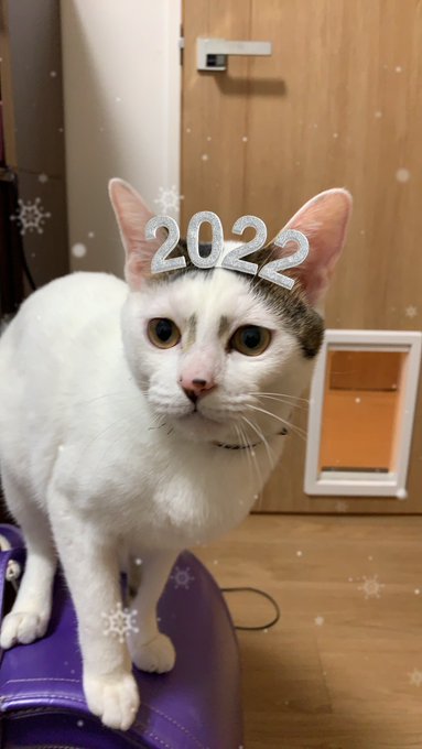 Twitterのコスプレ画像7