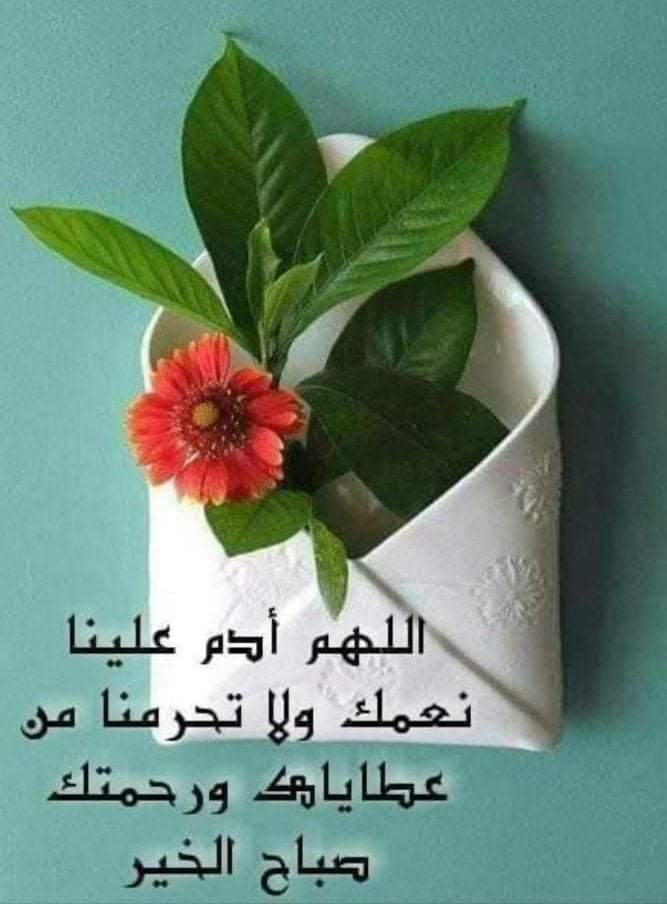 ابوحسن النعيمى (@2b6aphrkcdvn4vm) on Twitter photo 