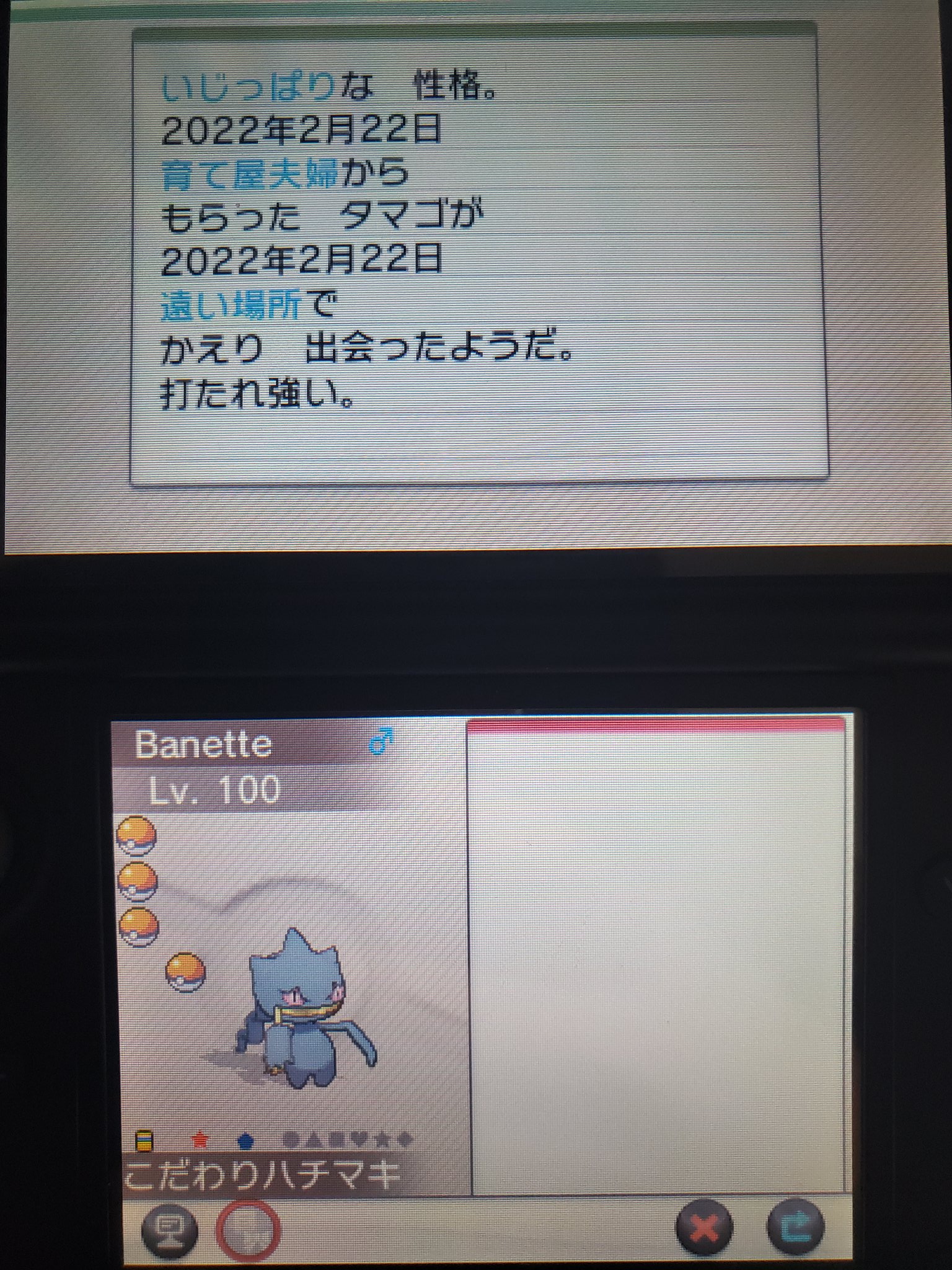 ポケモン改造 Twitter Search Twitter