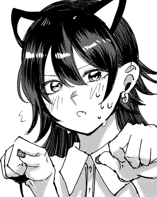 ねこのせ 