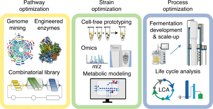 isciverse's tweet photo. Online NOW | Nature Biotechnology

Carbon-negative production of #acetone and #isopropanol by #gas #fermentation at #industrial pilot scale.

@isciverse @NatureBiotech 

https://t.co/zhcrrhE6gQ https://t.co/PFw6Hqia3f