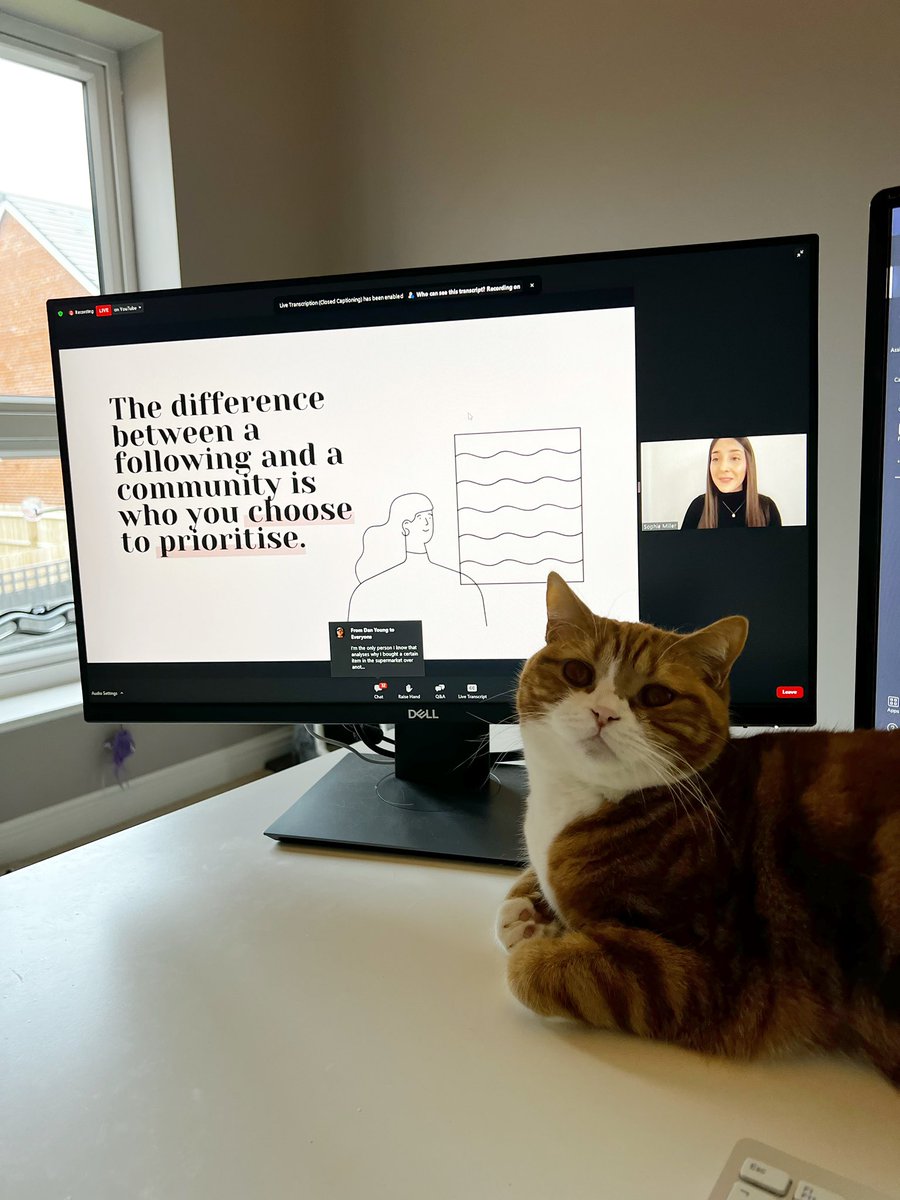 Another great #marketing webinar from @PositivelyTMM with @josepheglover and Sophie Miller from Pretty Little Marketer  on building #community  🎓 Hovis enjoyed it too 🐱😂