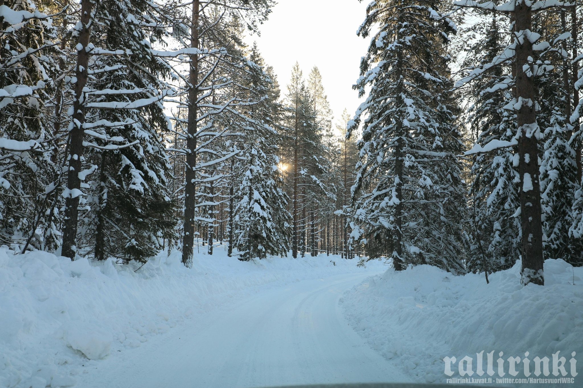 WRC: 69º Rally Sweden [24-27 Febrero] FMMR_B7XwAAV3gQ?format=jpg&name=large