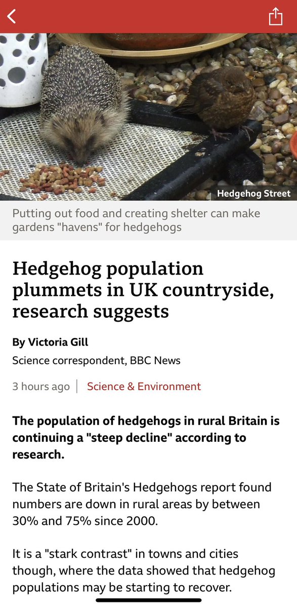 #hedgehogs
How it started.     How’s it going