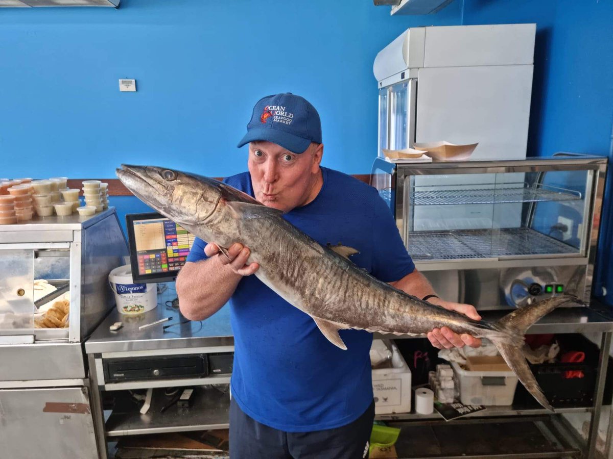 FarOutQld's tweet photo. Bring back the Mack! Cairns #seafood retailer Peter Adams says Spanish mackerel is an iconic species and he’s at a loss as to what to replace it with if/when total allowance catch is dramatically cut #fishbytes Listen back: https://t.co/YelQDmEdWZ https://t.co/41mkM6FgL2