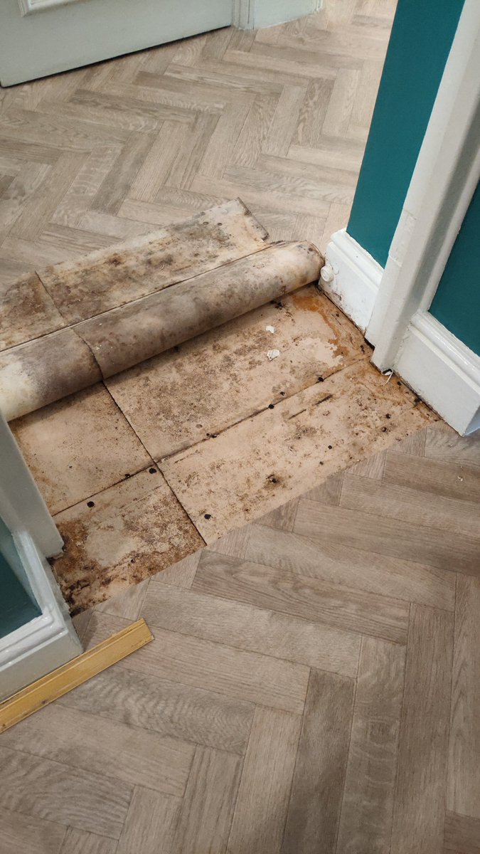 HInTheMembrane's tweet photo. @networkhomesuk I wrote a complaint to you about ref:793030 on Feb 16. No acknowledgement. What needs to happen before any action is taken? We are walking on sewage/flood water seeping through the cracks in the floors #cracksinthesystem https://t.co/hsbWrHbuo1