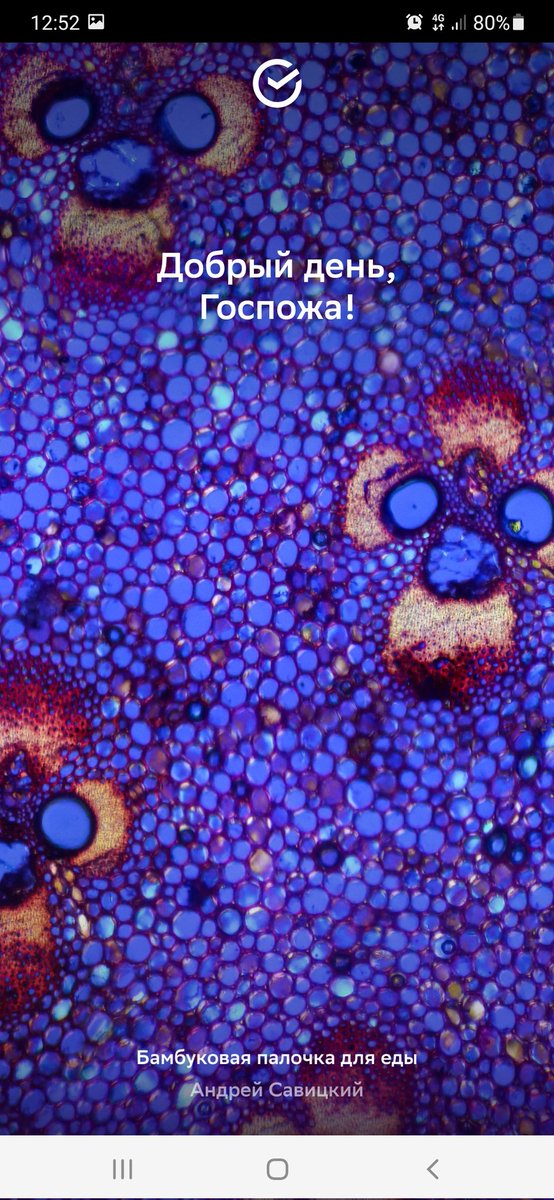 Родители на обходе:
-девочка, девушка, женщина, эээ
Тем временем приложение сбера