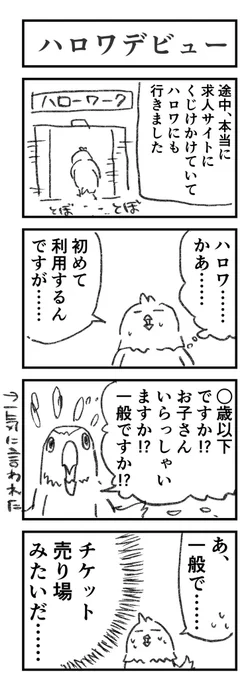 #とりの転職日記 29
ハロワデビューも果たしました。 