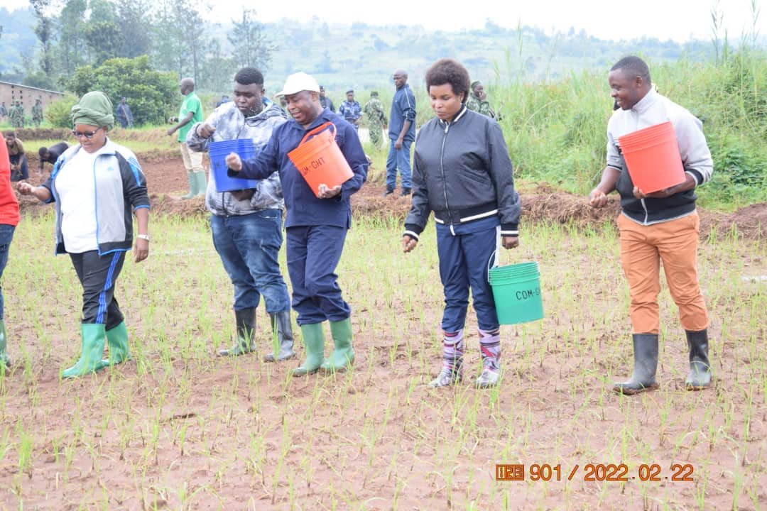 BMineagrie's tweet photo. La famille du Président @GeneralNeva accompagnée des cadres techniciens du #BPEAEGitega et élus locaux se joint,ce 22/02/2022,aux riziculteurs regpés en 23 coopératives du marais #Ndebe de la zone #Giheta de @Gitega ds les activités de fertilisat° du riz sur 23 ha. @NtareHouse https://t.co/0qVcwbXa6p