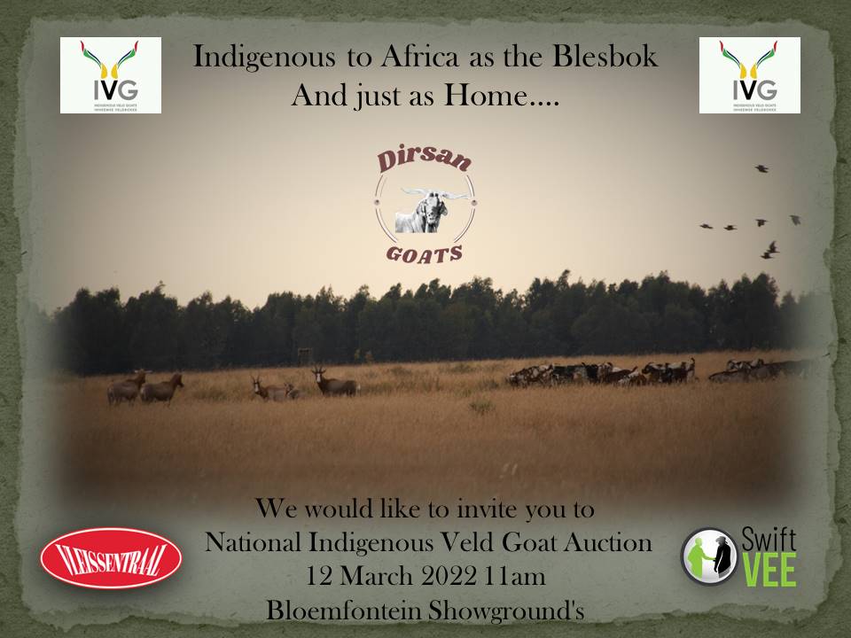 Make sure not to miss the National Auction on the 12th of March!!!
Live &amp; online Auction auctions.swiftvee.com/#!/auctionDeta…