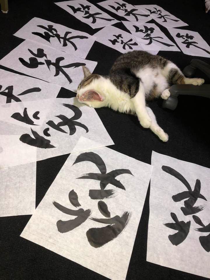 今泉岐葉 今日は2月22日でニャンニャンニャン ネコの日 うちのガガちゃん 書道アトリエに入ってきてゴロリと寝そべるのが好きなんだよなぁ 笑の字の見本を書いて床に並べて乾かしていたら 猫の日 にゃん 笑 書家 楽書家 筆文字 T Co