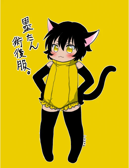 黒猫墨たんまとめ!④
あなたはどの墨たんがお気に入り?

#猫の日 