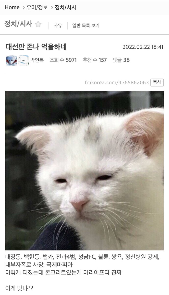 GoGo_Woopa's tweet image. 팸코ㅋㅋㅋㅋㅋㅋㅋㅋㅋ