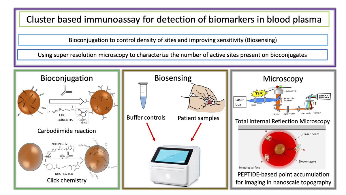ESR11 <a href="/ShanilGandhi/">Shanil Gandhi</a> <a href="/BluSenseDx/">BluSense Diagnostics</a> works on bioconjugating NPs with biomarkers for biosensing like sensitivity, specificity, dynamic range&amp; response time. The conjugates are used for PEPTIDE-PAINT to quantify the active sites on a single NP &amp; perform structure-functional correlation