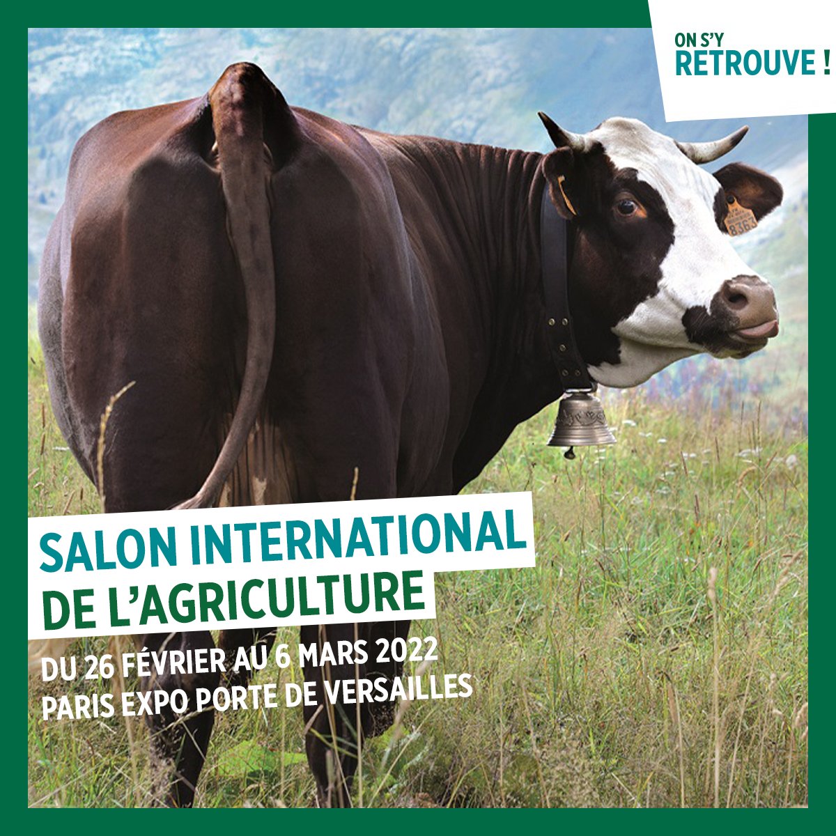 J-4 avant le #SIA2022 ! 🚜
🐮 Neige, vache égérie du salon, sera bientôt sous le feu des projecteurs mais, en attendant de l'admirer et de la caresser, découvrez-en plus sur sa préparation ! 
👉 bit.ly/3sWtm5N