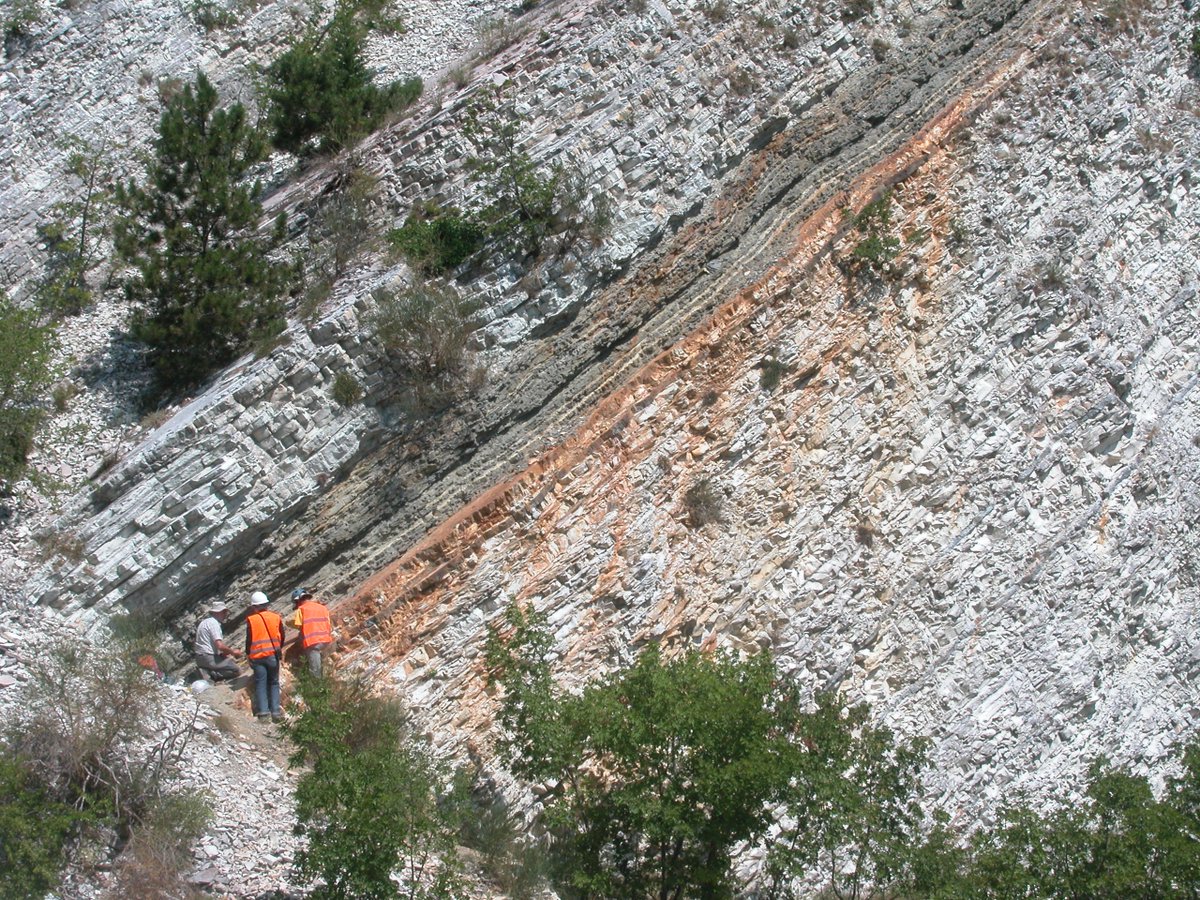 Oxford Impacts tweet media