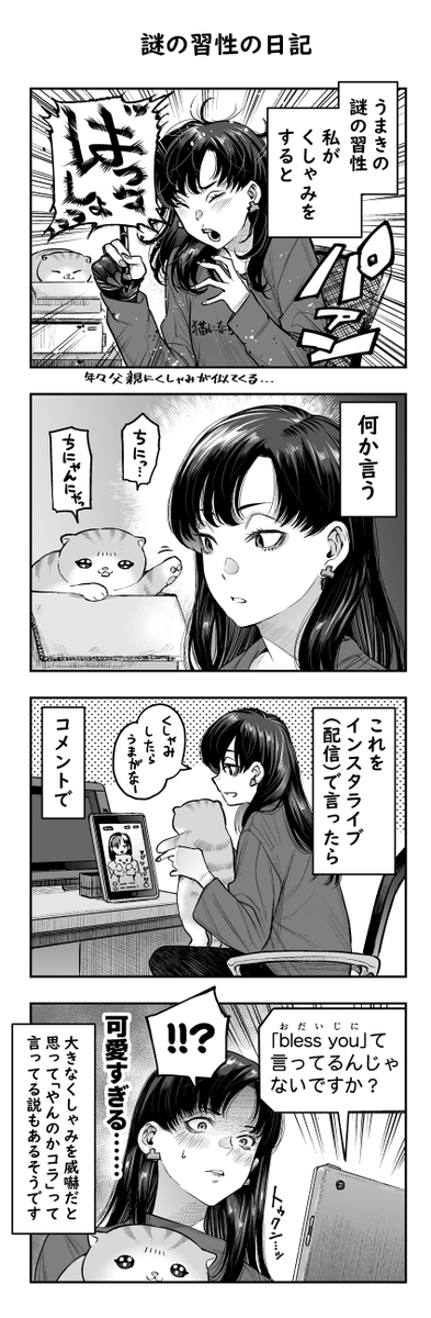 だったらいいなあの日記です
今日は猫の日らしいですが、こちとら毎日が猫の日じゃい! 