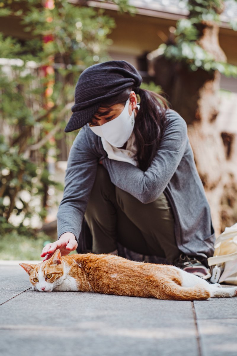 Ichiban_Japan's tweet photo. Le 22 février, c'est Neko No Hi, la journée du chat au Japon ! 🐈
2 se prononce "ni" donc 22/2 = ni ni ni (qui rappelle le miaulement d'un chat).
Et cette année on est en 2022 donc ça fait encore plus de ni ni ni 😻 https://t.co/hUjPC8eTAn