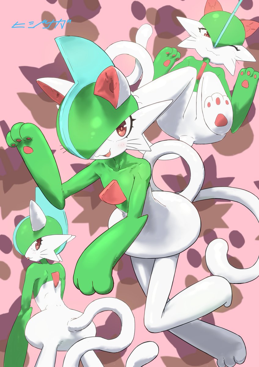 ヒジナガ.🐉アドバンス🐍 tweet media