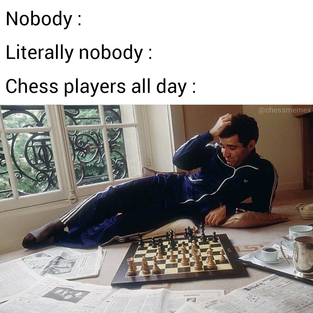 This man. #chess #grandmaster #meme #funny #troll