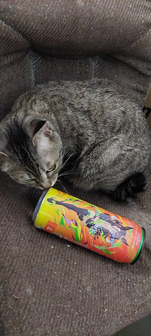 帰宅!後でモフらせてもらうよ 