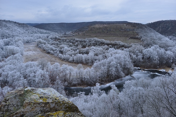 Zažít Podyjí bez lidí je rok od roku složitější. Vyhněte se Šobesu a výlet neplánujte na sobotu. Kde a kdy je u nás nejvíc návštěvníků? Pomůže vám odkaz v článku. nppodyji.cz/v-podyji-i-v-r…