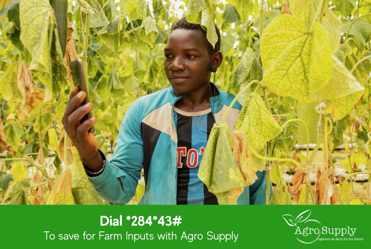agrosupplyug's tweet photo. You can now #save and make micro-purchases for quality farm inputs at your convenience with mobile money, through the Agro Supply Layaway system. Dial *284*43# to start your purchase. Contact us on +256 781 802 816 for more details. #Farm4theFuture https://t.co/rRdiBZFygu